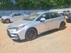 2024 TOYOTA COROLLA HYBRID