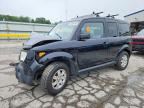 2006 HONDA ELEMENT