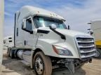 2019 FREIGHTLINER CASCADIA 126
