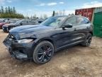 2023 JAGUAR F-PACE