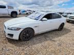 2019 JAGUAR XF