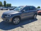 2013 VOLKSWAGEN TIGUAN