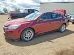 2015 CHEVROLET MALIBU