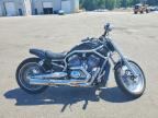 2005 HARLEY-DAVIDSON VRSCA