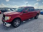 2010 FORD F150