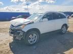 2010 HONDA CR-V