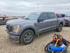 2023 FORD F150