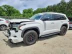 2023 TOYOTA SEQUOIA