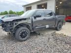 2025 TOYOTA TUNDRA