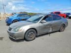 2005 NISSAN ALTIMA