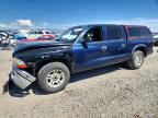 2004 DODGE DAKOTA