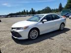 2019 TOYOTA CAMRY HYBRID
