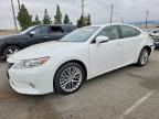 2013 LEXUS ES