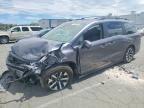 2026 HONDA ODYSSEY