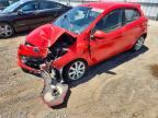 2011 MAZDA MAZDA2