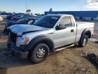 2010 FORD F150