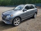 2018 MERCEDES-BENZ GLE