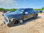 2023 TOYOTA TUNDRA