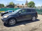 2010 HONDA CR-V