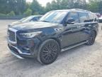 2019 INFINITI QX80