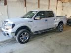 2014 FORD F150