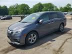 2020 HONDA ODYSSEY