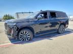 2023 CADILLAC ESCALADE