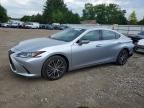 2024 LEXUS ES 300H