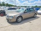2005 NISSAN ALTIMA