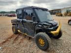 2024 CAN-AM DEFENDER