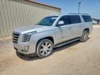 2020 CADILLAC ESCALADE