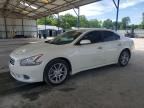 2010 NISSAN MAXIMA