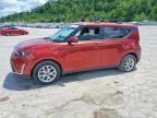 2025 KIA SOUL
