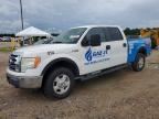 2010 FORD F150