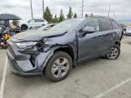 2025 TOYOTA RAV4 HYBRID