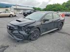 2024 SUBARU WRX