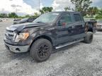 2014 FORD F150