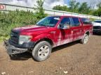 2013 FORD F150