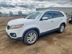 2011 KIA SORENTO