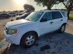2010 FORD ESCAPE