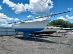 1983 CC MAR C AND C 29