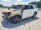 2023 TOYOTA 4RUNNER