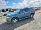 2011 FORD ESCAPE