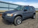 2003 FORD ESCAPE