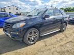 2015 MERCEDES-BENZ ML