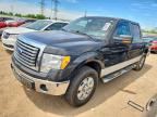 2010 FORD F150