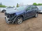 2024 TOYOTA RAV4 HYBRID