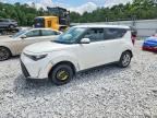 2025 KIA SOUL
