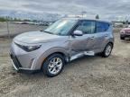 2025 KIA SOUL