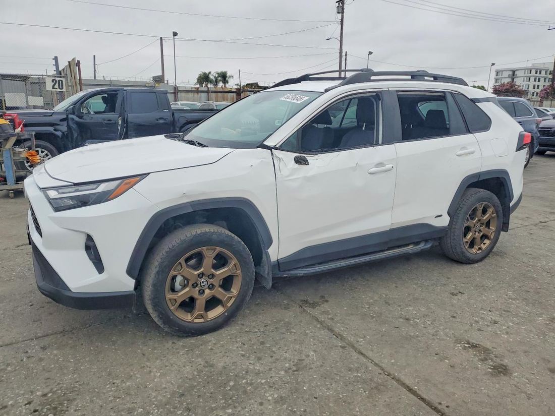 2023 TOYOTA RAV4